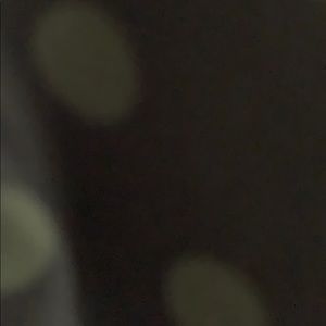 Meet your Posher, Ava